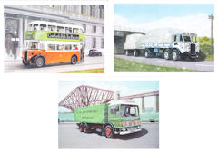 The three designs of Christmas Card supplied in each pack